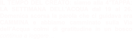 IL TEMPO DEL CREATO: siamo alla 4°TAPPA: LA SETTIMANA DELL'ACQUA dal 19 al 26. Domenica scorsa la parola che ci guidava era CAMMINA e abbiamo camminato sulla Via dell’Acqua colmi di gratitudine in un bosco  continua a leggere…
